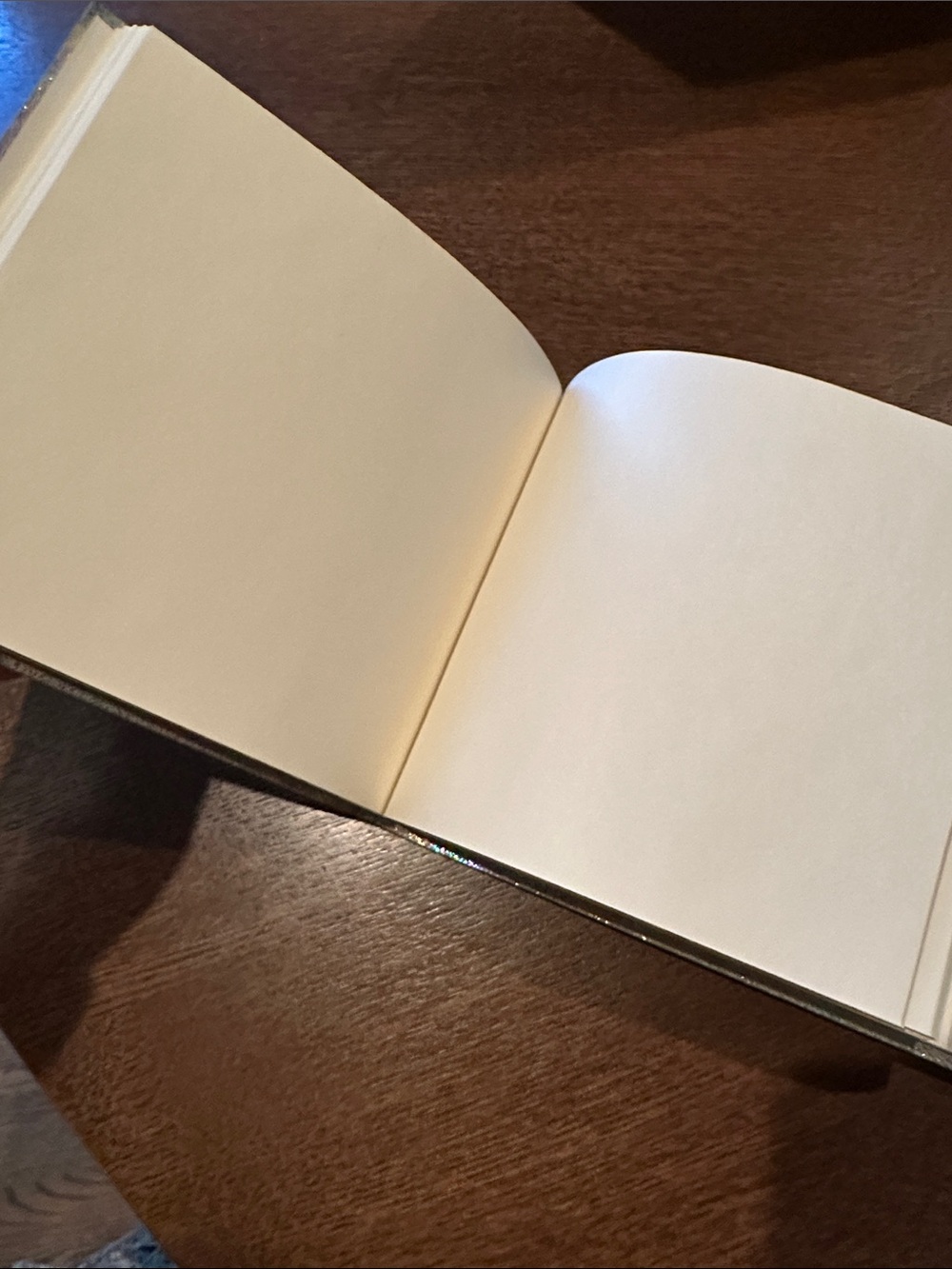 Anthropologie Holographic Leather Sketchbook/Notebook - Picture 4 of 5